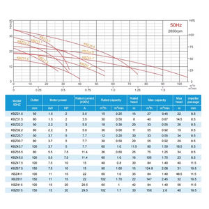 Bomba Sumergible KBZ, Bomba <span class=keywords><strong>de</strong></span> Drenaje KBZ, Bomba <span class=keywords><strong>de</strong></span> Agua <span class=keywords><strong>de</strong></span> Mar, Bomba para Aguas Residuales, Lodos, <span class=keywords><strong>Arena</strong></span> y Minería - Product Image 6