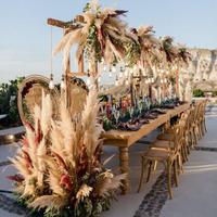 Bulu Pampas Alami Kering Besar dan Mengembang, Dekorasi Meja Boho, Centerpiece Rumput Pampas untuk Pernikahan