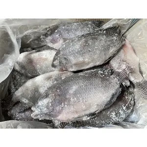 China Export Factory Price Pescado Congelado Tilapia Poisson Tilapia Fish Price Frozen Fish Tilapia Fish
