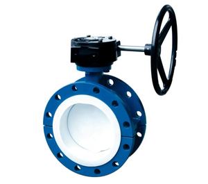 Vanne papillon à bride D341F46 à turbine manuelle, entièrement revêtue de PTFE, résistante à la corrosion, résistante aux acides et aux alcalis, vanne à eau - Product Image 2