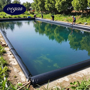 Geomembrana HDPE <span class=keywords><strong>de</strong></span> 1 mm y 2 mm en Rollo, Lámina <span class=keywords><strong>de</strong></span> Plástico <span class=keywords><strong>para</strong></span> Estanques <span class=keywords><strong>de</strong></span> Peces, Revestimiento <span class=keywords><strong>para</strong></span> Depósitos <span class=keywords><strong>de</strong></span> <span class=keywords><strong>Agua</strong></span>, <span class=keywords><strong>Membrana</strong></span> Líquida <span class=keywords><strong>para</strong></span> Agricultura - Product Image 1