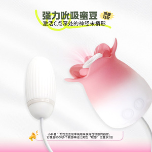 เครื่องสั่นรูปดอกไม้แบบดูดและสั่นสำหรับผู้หญิง ชาร์จผ่าน USB ของเล่นผู้ใหญ่ - Product Image 4