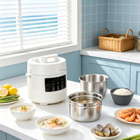 Mini-cuiseur à pression électrique 2L compact multifonction pour la maison