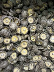 Kurutulmuş <span class=keywords><strong>Shiitake</strong></span> mantarları insanların tüketimi için toplu olarak yüksek kaliteli popüler ihraç ürünü - Product Image 5