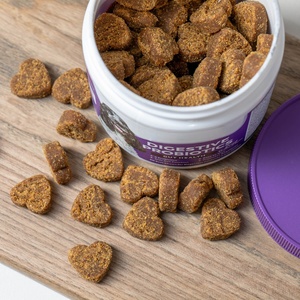 อาหารเสริมโปรไบโอติกแบบเคี้ยวสำหรับสุนัข เพื่อสุขภาพลำไส้และเสริมสร้างภูมิคุ้มกัน ดูดซึมเร็ว - Product Image 2