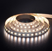 Benory 24v Réglable Blanc LED Bande Lumineuse CRI 90 2216smd 19.2W CCT 2700K-6500K 10mm 240 Led Puces pour Loxone KNX DALI PWM Wifi