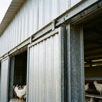 Entrepôt agricole en structure légère d'acier sur mesure avec système d'alimentation automatique, galvanisation à chaud, soudage et découpe, garantie 50 ans