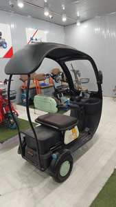 Triciclo Urbano de Ocio 2024 al por Mayor de Fábrica, con Motor de 500W/800W, Batería de Plomo-ácido de 48V y Dos Filas de Asientos - Product Image 5