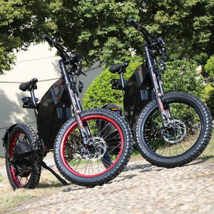 Motocicleta Todoterreno Económica de 2 Ruedas, Potente Motocicleta Eléctrica, Motocross - Product Image 4