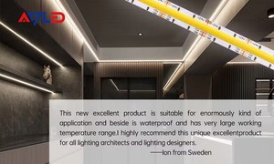 Usine professionnelle haute qualité COB 640 puces CCT LED bande DC24V Dimmable Tunable 2700k 3000k 4000k 6500k IP20 évalué Ra90 - Product Image 6