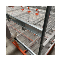 Cage à poulets automatique de type H, 4 étages, capacité de 10 000 oiseaux, acier galvanisé à chaud avec système d'alimentation et d'abreuvement