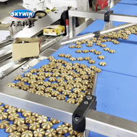 Máquina Automática Skywin para Alimentación de Galletas y Empaquetado en Flujo, Línea de Producción y Empaquetado de Galletas