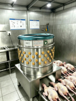 Máquina Desplumadora de Aves de Corral Automática de Acero Inoxidable Comercial, Equipo de Sacrificio para Granjas de Pollos, Patos y Gansos