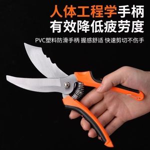 Tijeras para ajo de acero inoxidable con mango naranja para cosechar ajo y uso en jardinería - Product Image 3
