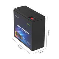 Batterie au lithium rechargeable Delong LFP1220 LiFePO4 12V 20Ah 256Wh avec garantie de 5 ans pour éclairage solaire, camping, détecteur de poissons, alimentation de secours