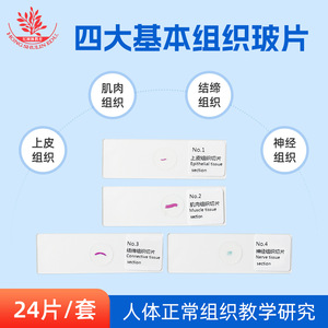 Los cuatro tejidos básicos del cuerpo humano (libro de biología para secundaria): preparados de observación, material didáctico, epitelio - Product Image 1