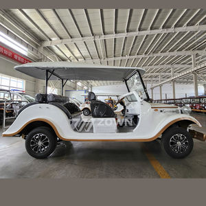 Auto d'epoca personalizzabili di successo, auto d'epoca elettriche retrò, auto d'epoca adatte per adulti. - Product Image 2