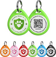 Gravé collier de chien étiquette nom d'animal de compagnie étiquette d'identification personnalisé chat accessoires porte-clés Sublimation collier créatif pendentif bijoux