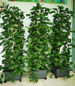 水耕タワー栽培システム屋内水耕栽培システム垂直植栽タワー15階<span class=keywords><strong>45</strong></span>ポンプ付き植物サイト - Product Image 3