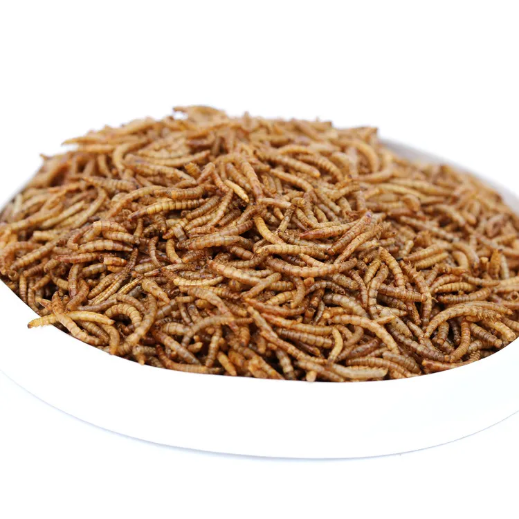 Factory High Quality Dried Tenebrio Molitor Mealworms Fish Pet Food
