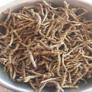 Racine de Picrorhiza Kurroa séchée (Kutki) – Ingrédient botanique naturel en vrac pour la transformation à base de plantes traditionnelles - Product Image 2