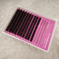 Faux Cils en Touffes Individuelles Étiquette Privée Personnalisée DIY Cils Effet Volume avec Bases