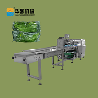 Machine d'emballage horizontale automatique HUAYUAN pour fruits, légumes et carottes en sachets