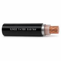 Câble d'alimentation blindé en cuivre YJV22 0,6/1 kV à un seul conducteur 1*150 mm², câble à grande section transversale isolé XLPE