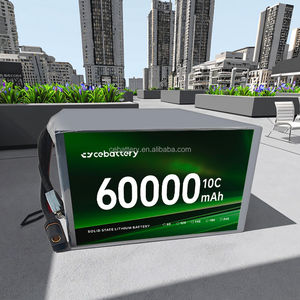 Сертифицированный 60000 мАч 6S твердотельный литий-ионный аккумулятор HV высокоэффективный высокопроизводительный Аккумулятор для различных нужд - Product Image 4