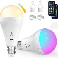 Ampoule LED globe sans fil rechargeable RGB colorée A65 avec télécommande, base à vis E26/E13/B22, USB, pour armoire