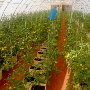 Argile expansée Hydroponique 8-16mm 10-20mm Cailloux - Product Image 5