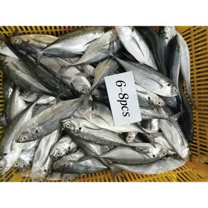 Fornecedor de peixes de cavala cavala congelada cauda amarela cavala cavala congelada preço novo - Product Image 1