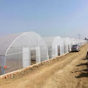 punlaan rumah kaca drivhus estufa kas broeikas steel structure greenhouse tunnels complete green house of 10m x 30m