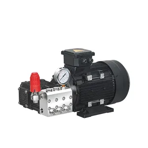 botuo 16 L/min Sea Water Desalination triplex plunger high pressure pump SS pump with Motor for SWRO Desalination System