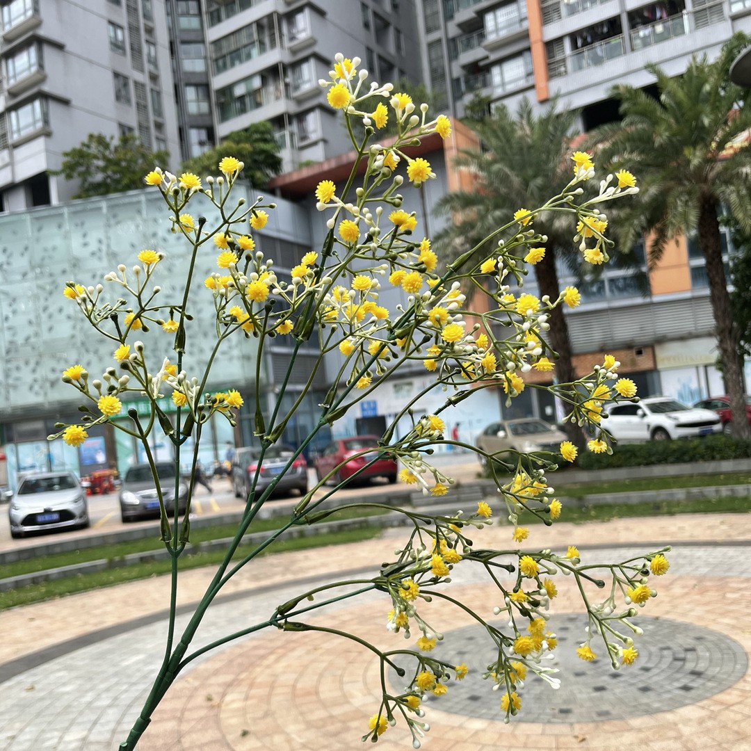 5Fork starry sky Yellow