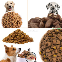 Ligne de production de nourriture pour animaux de compagnie à commande intelligente avancée, machine automatique de fabrication d'aliments pour chats et chiens, extrudeuse à double vis, prix CE