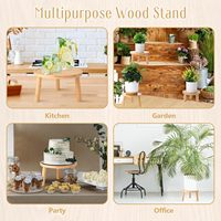 Penyangga Tanaman Kayu Bambu Dekoratif Desain Khusus Modern yang Dapat Disesuaikan dan Diperpanjang untuk Pot Bunga