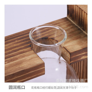 Wooden Hydroponic Test Tube Stand With Glass <b>Vases</b> For Pothos Plants Tabletop Decor Natural Material - Product Image 3