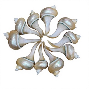 Support et repose-baguettes durables en coquillages naturels faits à la main, style vintage, pour restaurants, hôtels, maisons, marchés de gros - Product Image 1