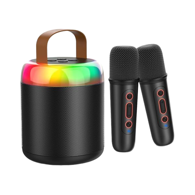 Portable Mini Karaoke Machine with RGB LED Lighting BT 5.3 Speaker 2 Wireless Microphones Karaoke Toy Gift for Kids Boys Girls