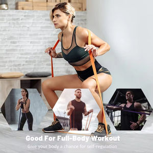 Bandes de Résistance Personnalisables avec Logo pour Traction, Entraînement à Domicile et en Salle de Sport – Kit d'Assistance à la Traction - Product Image 4