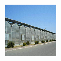 Serre agricole multi-travées en panneaux PC, durable, pour la culture commerciale de légumes et de fleurs