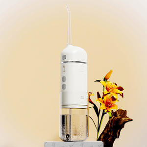 Design de mode la <span class=keywords><strong>plus</strong></span> puissante eau Flosser eau rechargeable Flosser pour les dents - Product Image 3