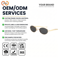 TWOOO T1571 Lunettes de soleil ovales pour femmes avec logo personnalisé, marque privée, OEM, ODM, monture métallique à branches larges, protection UV400, élégantes, vente en gros directe d'usine
