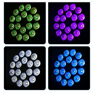 Luz Par de escenario DMX512 RGBW 4 en 1 luces de DJ con sonido activado para boda fiesta de cumpleaños espectáculo en vivo iluminación de escenario - Product Image 5