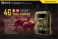 Kamera Berburu Seluler 4G Luar Ruangan 1080P Video Full HD Gambar 24MP, Kontrol Jarak Jauh APP Kamera Penglihatan Malam Inframerah Tanpa Cahaya
