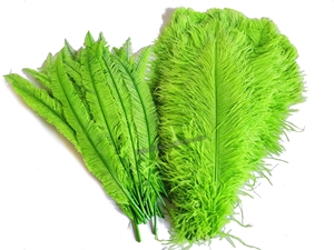 Menthe Naturel Plume Plumes D'autruche pour Fête Carnaval Maison Mariage Pièce Maîtresse De Noël Vase Vacances Décor DIY Artisanat Floral - Product Image 4