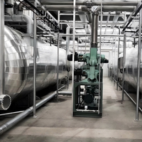 Industriële vacuümvriesdroger Lyofilisator PLC automatische vriesdroogmachine voor fruit, vlees, vis, dierenvoer