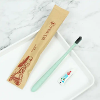Ensemble brosse à dents et dentifrice de voyage Brosse à dents à usage unique avec pâte personnalisée