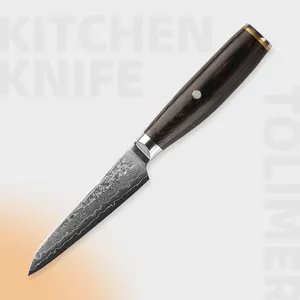 Couteau d'office damas en acier forgé à 67 couches de 4 pouces avec manche en bois de couleur coupe de fruits couteau d'office damas
